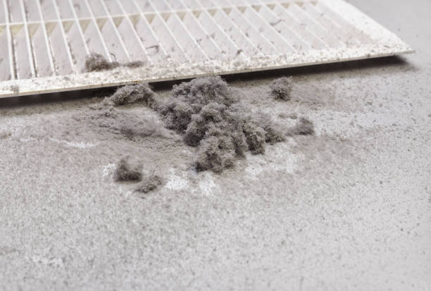 Best Best Air Duct Cleaning Company  in Butler, MO