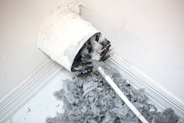 Best HVAC Duct Inspection Services  in Butler, MO